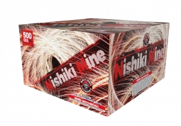 RACCOON NISHIKI MINE - CASE 4/1